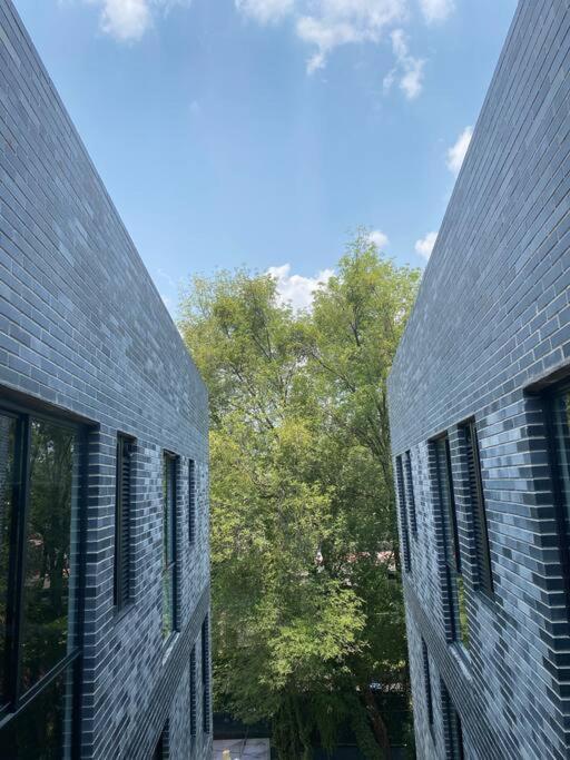 Gran Ubicacion, En La Zona De Santa Fe, King Bed Villa Mexico City Exterior photo